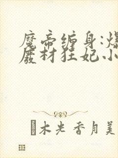 魔帝缠身:爆宠废材狂妃小说网