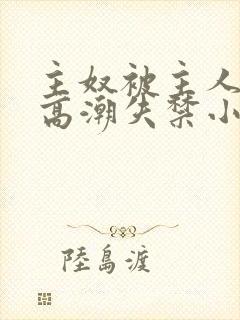 主奴被主人调教高潮失禁小说