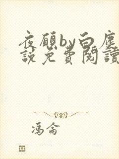 夜愿by白尘小说免费阅读笔趣阁无弹窗封面