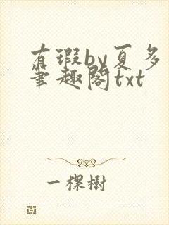 有瑕by夏多布笔趣阁txt