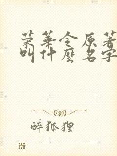 荣华令原著小说叫什么名字啊