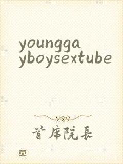 younggayboysextube封面