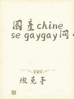 国产chinese gaygay网站