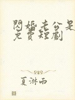 闪婚老公是总裁免费短剧封面