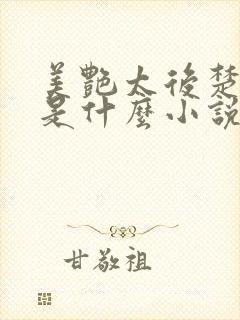美艳太后楚清璇是什么小说封面