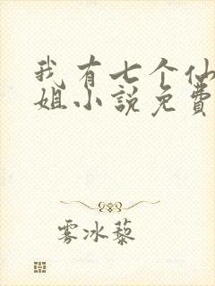 我有七个仙女姐姐小说免费