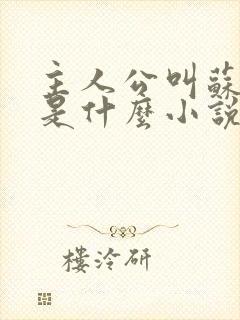 主人公叫苏洛的是什么小说
