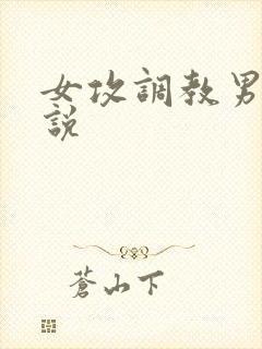 女攻调教男受小说