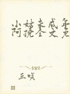 小姑未成年by阿挠全文免费阅读笔趣阁封面