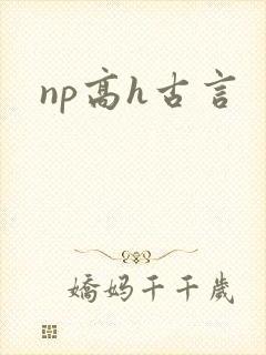 np高h古言
