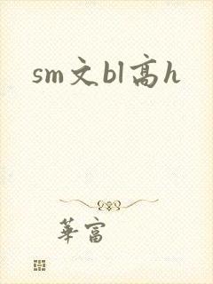 sm文bl高h封面