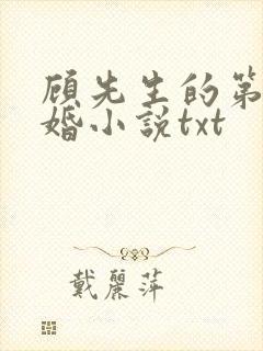 顾先生的第一宠婚小说txt