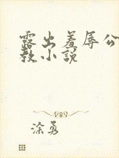 露出羞辱公开调教小说