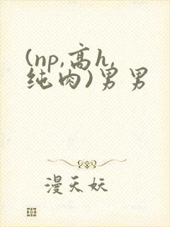 (np,高h,纯肉)男男