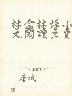 林念林烨小说全文阅读免费