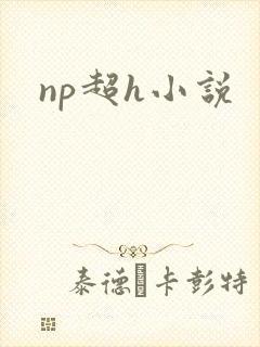 np超h小说