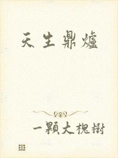 天生鼎炉
