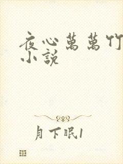夜心万万竹先生小说