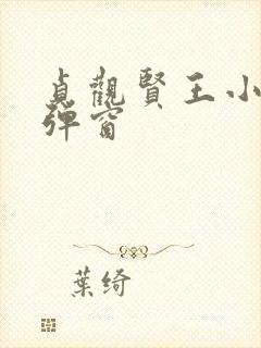 贞观贤王小说无弹窗