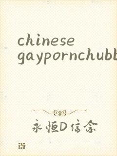 chinesegaypornchubbybearsex封面