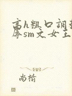 高h粗口调教羞辱sm文女王动画