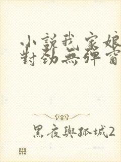 小说我家娘子不对劲无弹窗无广告
