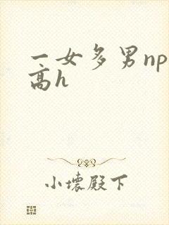 一女多男np文高h
