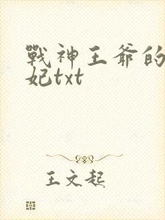 战神王爷的小医妃txt