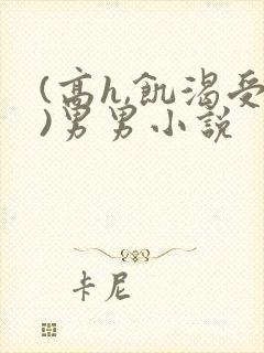 (高h,饥渴受)男男小说