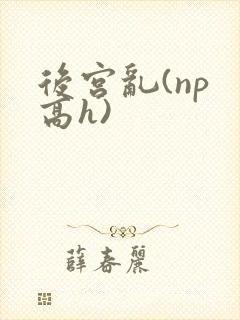 后宫乱(np 高h)