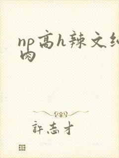 np高h辣文纯肉