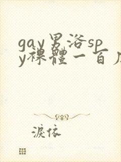 gay男浴spy裸体一百度封面