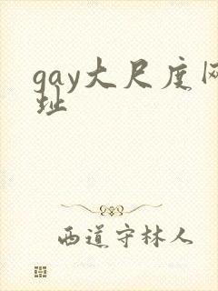 gay大尺度网址