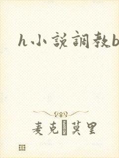 h小说调教bl