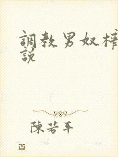 调教男奴榨精小说