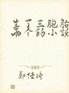 生了三胞胎带走两个的小说
