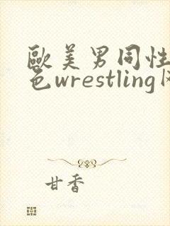 欧美男同性恋黄色wrestling网站