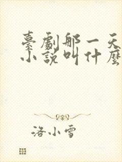 台剧那一天原著小说叫什么