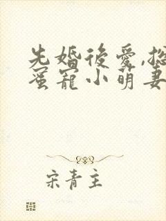 先婚后爱,总裁蜜宠小萌妻封面
