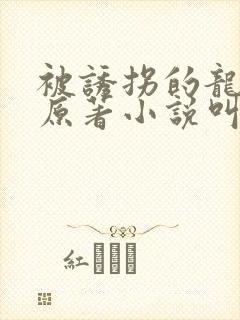 被诱拐的龙小说原著小说叫什么名字
