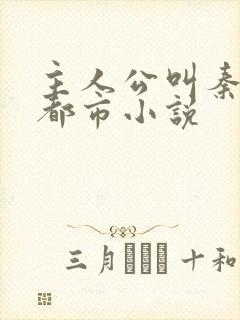 主人公叫秦昊的都市小说封面