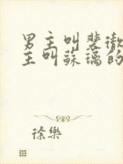 男主叫裴彻,女主叫苏璃的小说