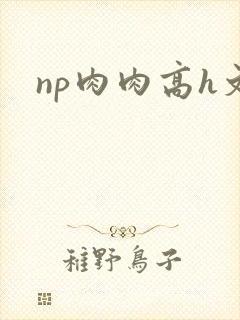 np肉肉高h文