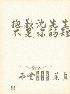 抱歉沈先生孩子不是你的短剧免费在线观看