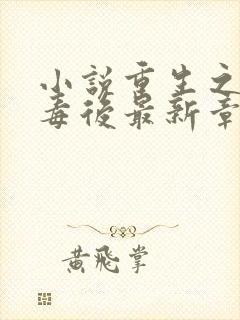 小说重生之将门毒后最新章节列表免费封面