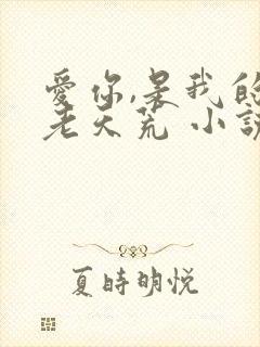 爱你,是我的地老天荒 小说