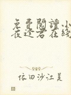 免费阅读小说此夜逢君在线阅读全文