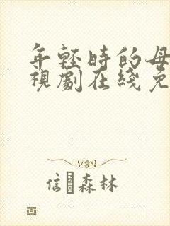 年轻时的母亲电视剧在线免费4