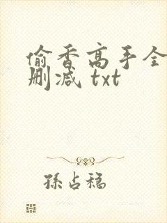 偷香高手全文无删减 txt