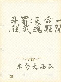 斗罗:天命一族,从武魂殿开始